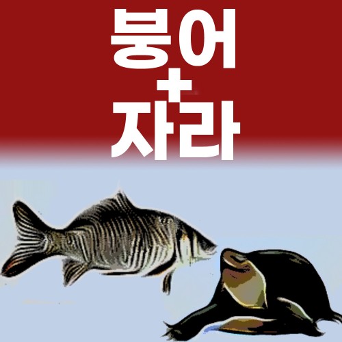 운동선수보양식 110ml 30포 붕어즙 자라즙 붕어 엑기스 진액