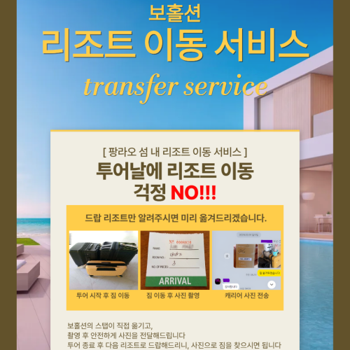 보홀 호핑투어 단독 프라이빗투어 발리카삭 거북이 돌고래 스노클링 버진아일랜드 수중촬영