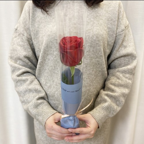 생화 꽃 한송이 카네이션 장미 칠순 돌 답례품 선물