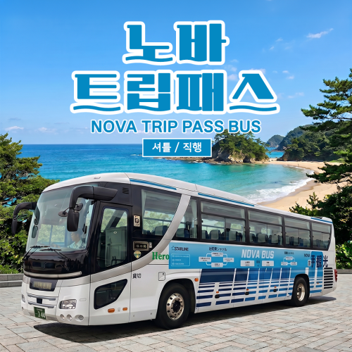 노바호 대마도 버스투어 셔틀 직행 버스 시내 히타카츠 이즈하라 트립패스