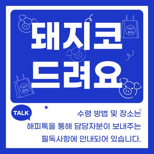 부관훼리 버스투어 부산 시모노세키 배편 일본 배 기타큐슈 왕복승선권 선박 성희호 하마유