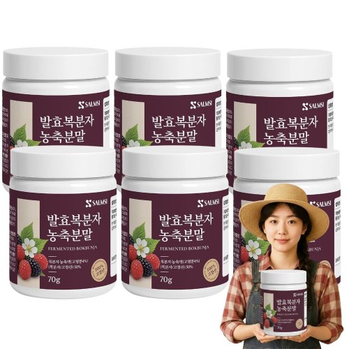 고창 복분자 분말 국산 진한 농축 가루 140g + 스푼