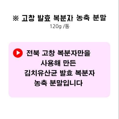 고창 복분자 분말 가루 210g 김치유산균 발효