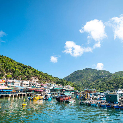 홍콩 애버딘 항구 반나절 가이드 투어 (해산물 점심 식사 포함)