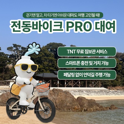 대마도 히타카츠 전동바이크 바이크 대여 당일치기 1박2일 자전거